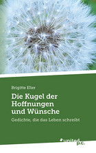 Cover: Die Kugel der Hoffnungen und Wünsche